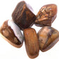 24x L Tumble Stones - Madeira petrificada